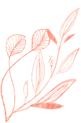 New-Flower-Title-3.Png